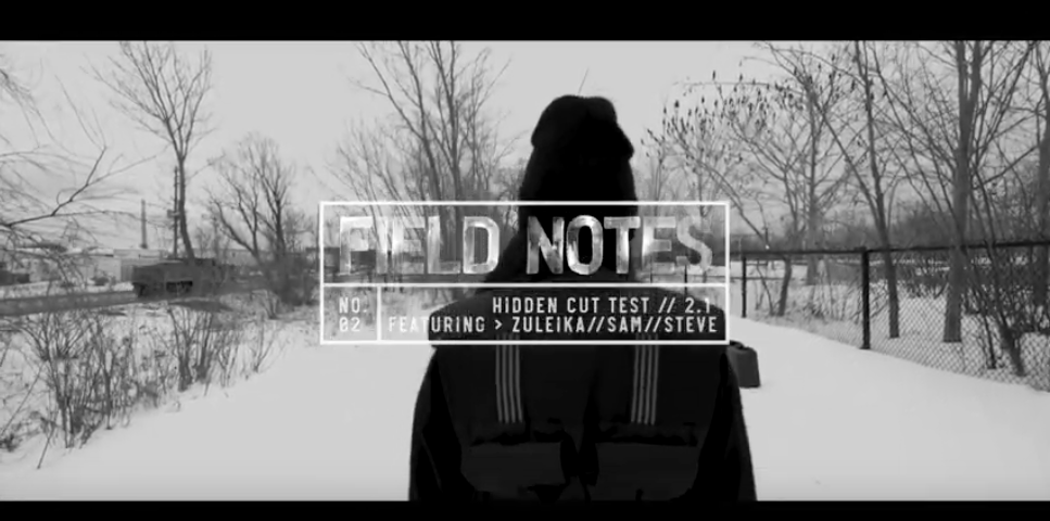 a woman stands in a field, facing away from the camera, with the text "Field Notes"